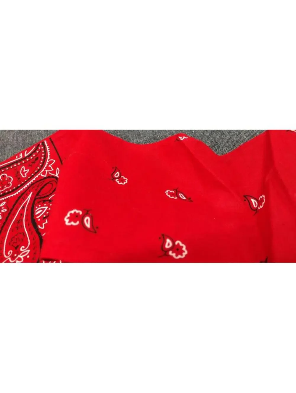 RED BANDANA COTTON sometimes greatest